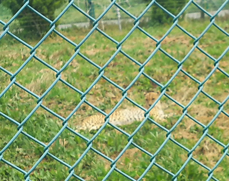 f:id:fp-maruko:20210508172322p:plain