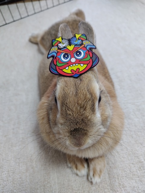 2024.2.3 おにのまる