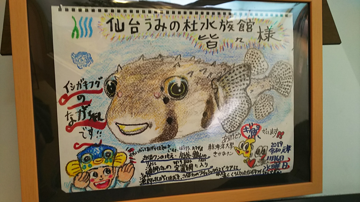 f:id:fp-maruko:20210722221622p:plain