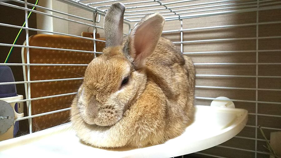 f:id:fp-maruko:20210201172538j:plain