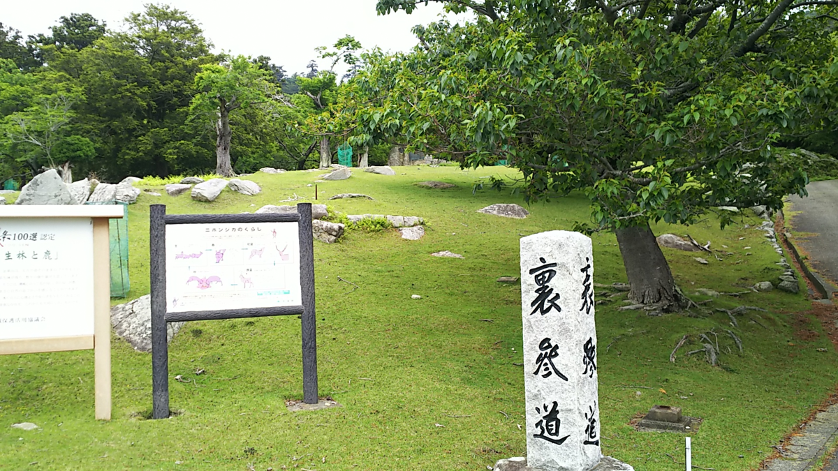 f:id:fp-maruko:20210524162829p:plain