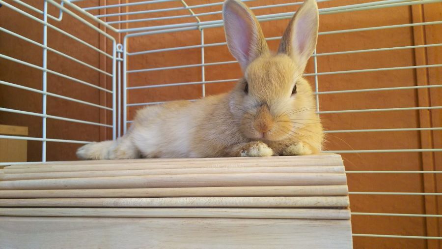 f:id:fp-maruko:20201228163554j:plain