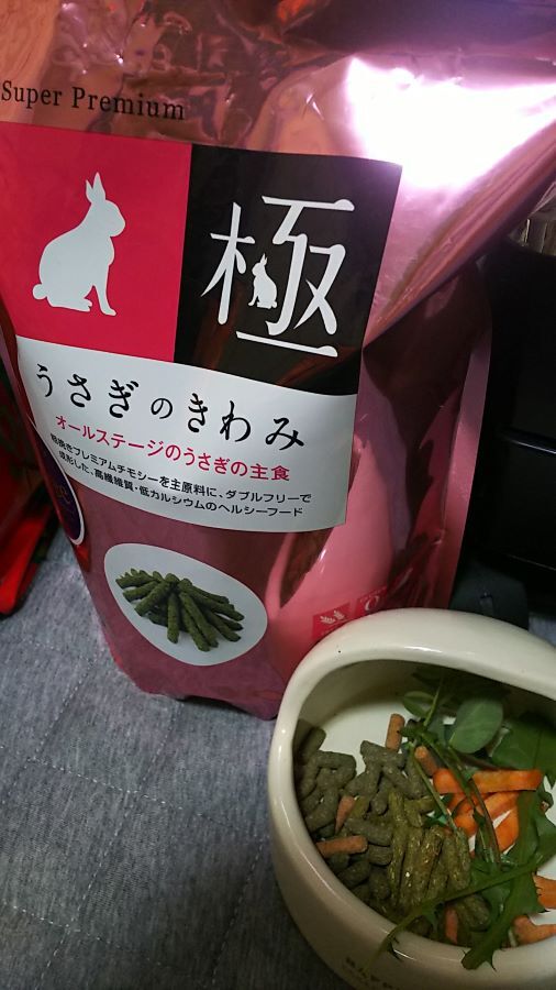 f:id:fp-maruko:20210331204408j:plain