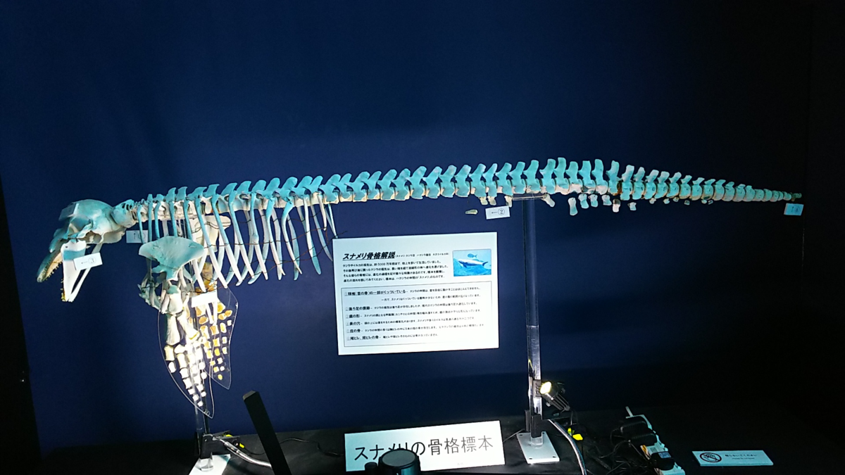 f:id:fp-maruko:20210722222736p:plain