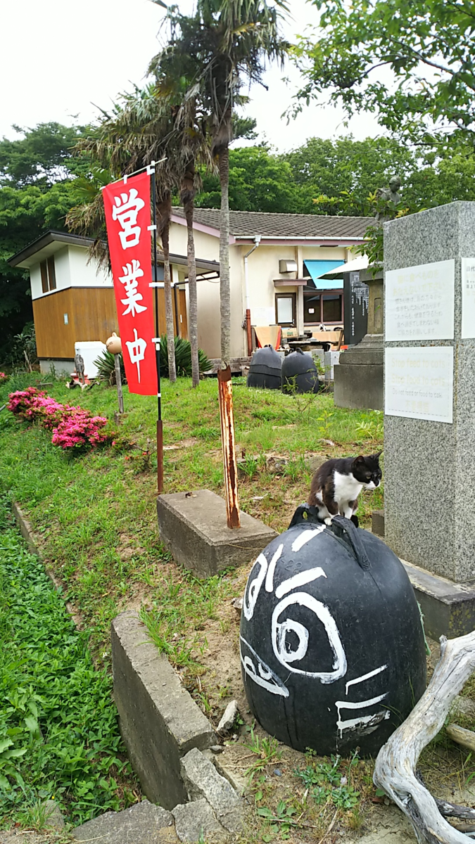 f:id:fp-maruko:20210619171105p:plain