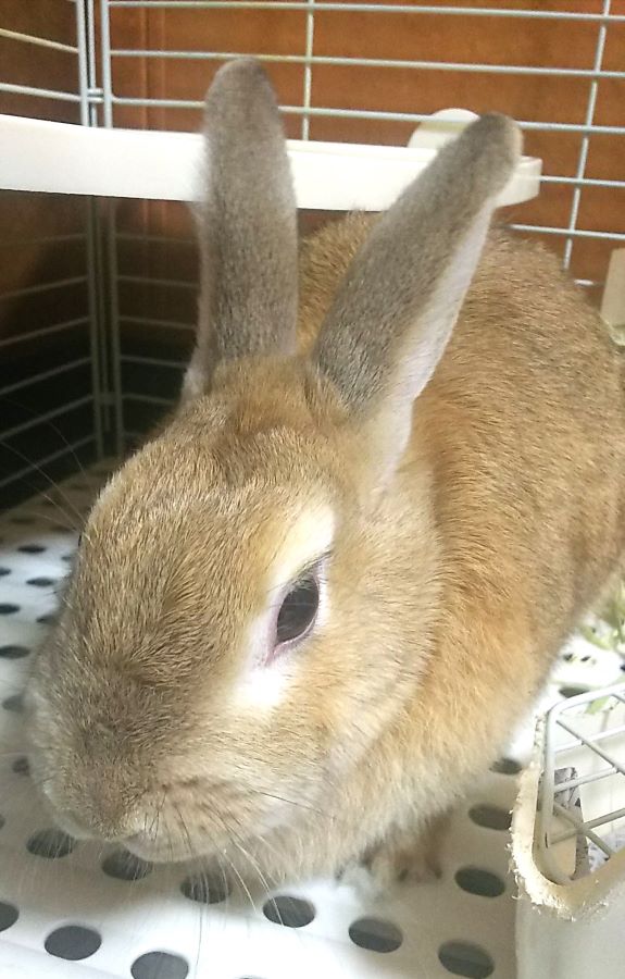 f:id:fp-maruko:20201224173921j:plain