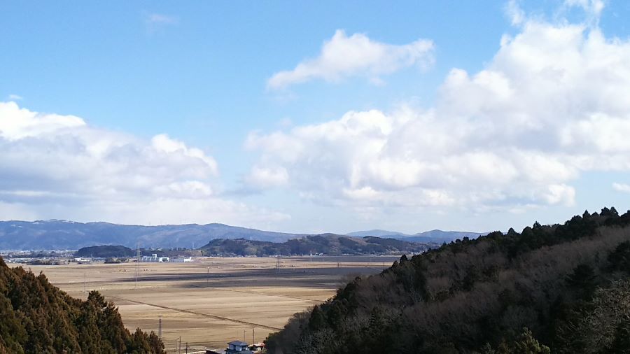 f:id:fp-maruko:20210224164757j:plain