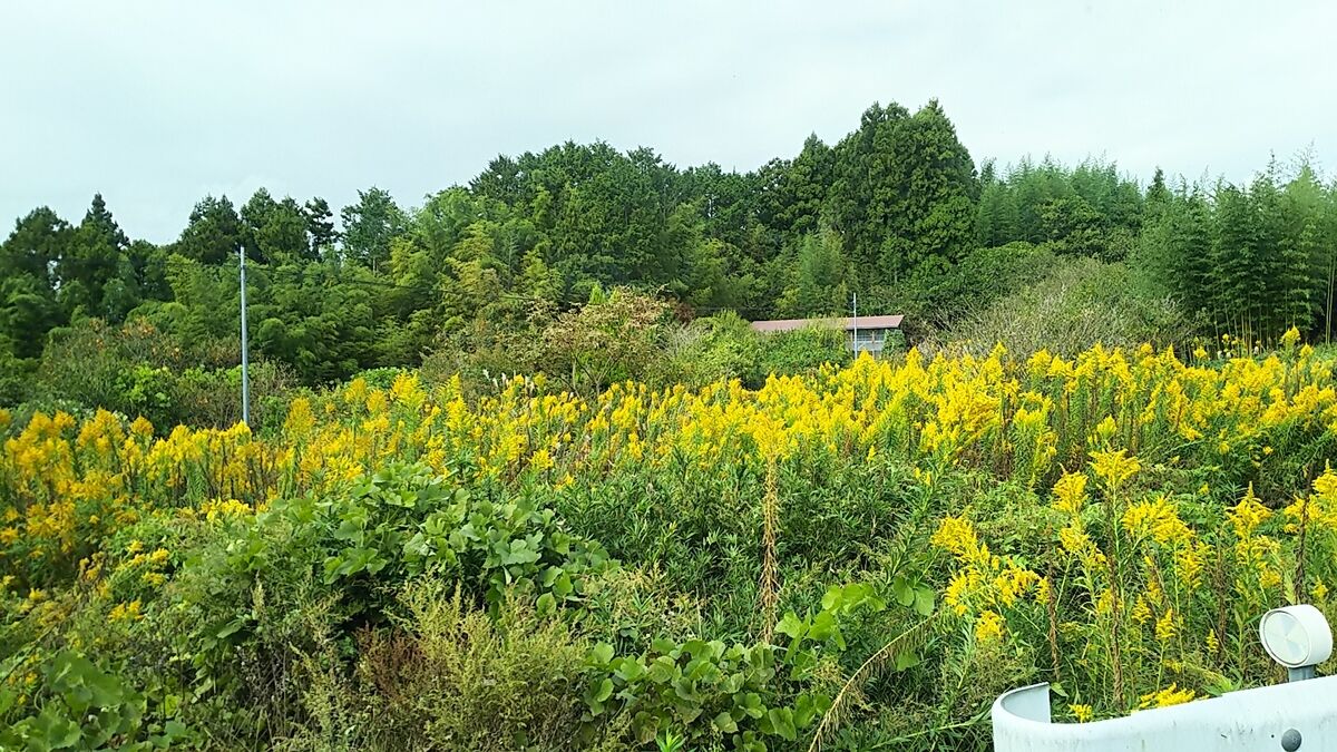 f:id:fp-maruko:20211018144006j:plain