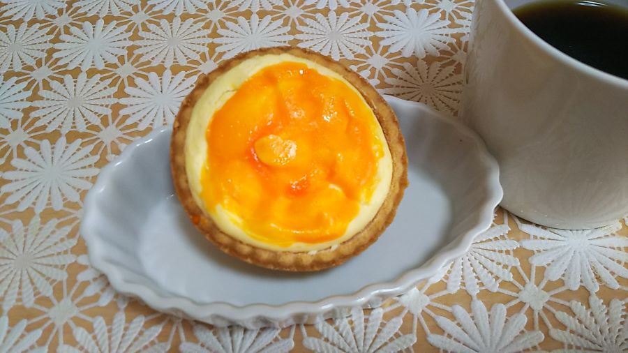 f:id:fp-maruko:20210314165324j:plain