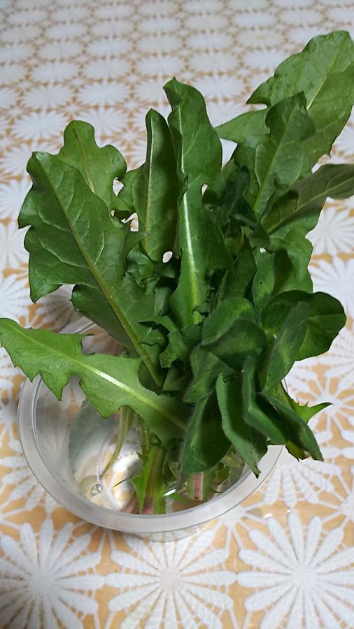 f:id:fp-maruko:20210331203727j:plain