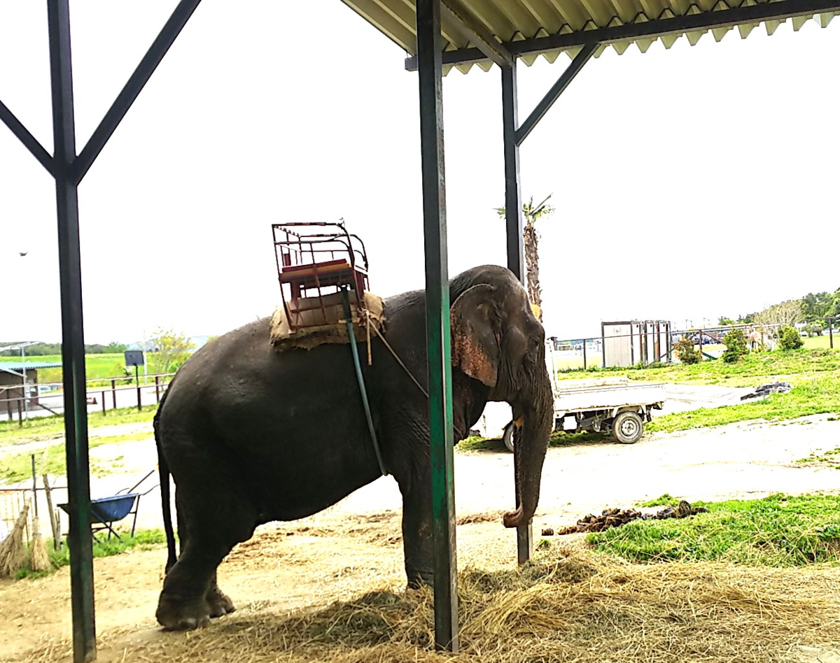 f:id:fp-maruko:20210510202841p:plain