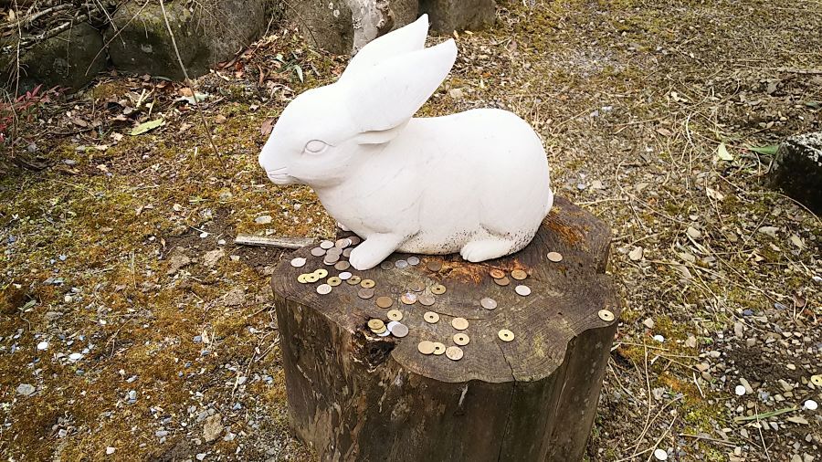 f:id:fp-maruko:20210227164824j:plain