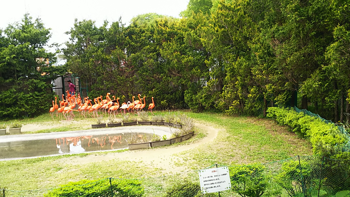 f:id:fp-maruko:20210510204732p:plain