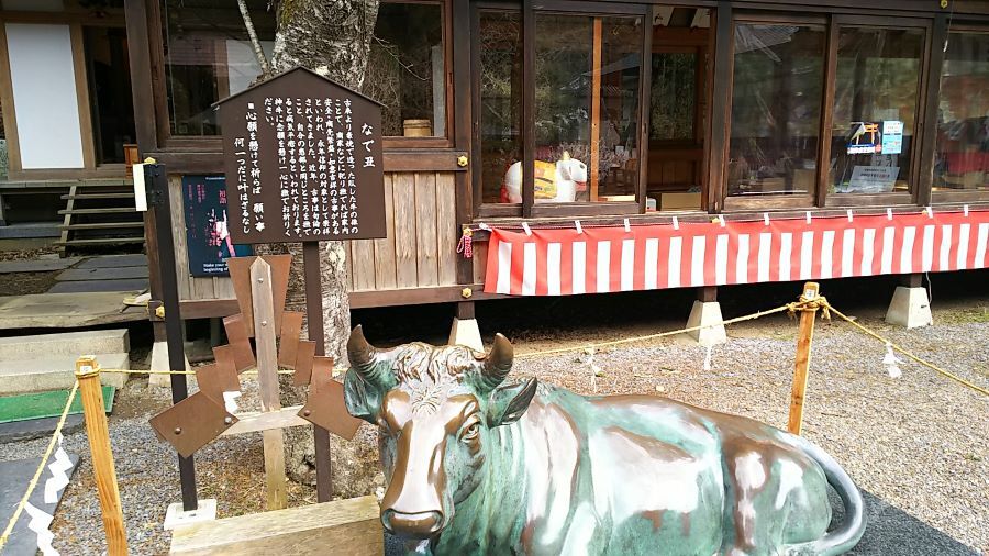 f:id:fp-maruko:20210226231040j:plain