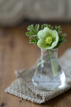 f:id:fp-maruko:20200924223035p:plain