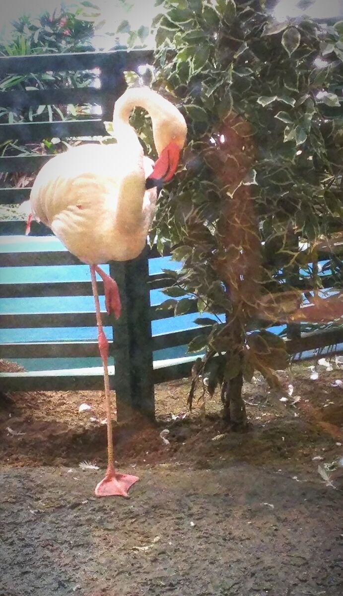 f:id:fp-maruko:20200930165559j:plain