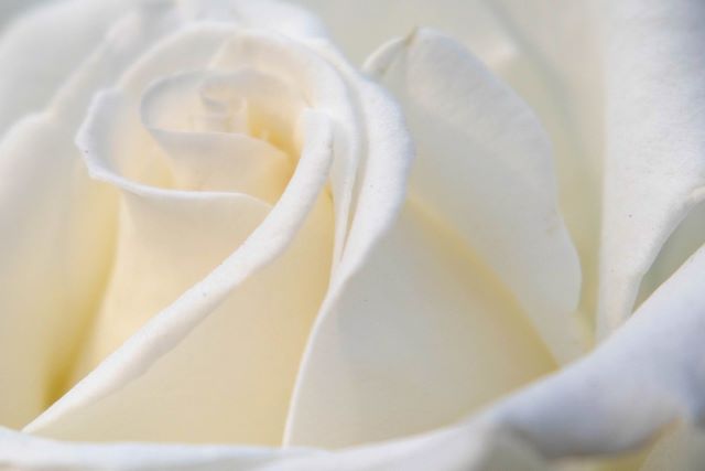 f:id:fp-maruko:20210216220333j:plain