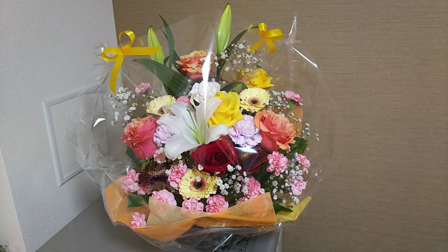 f:id:fp-maruko:20210201163854j:plain