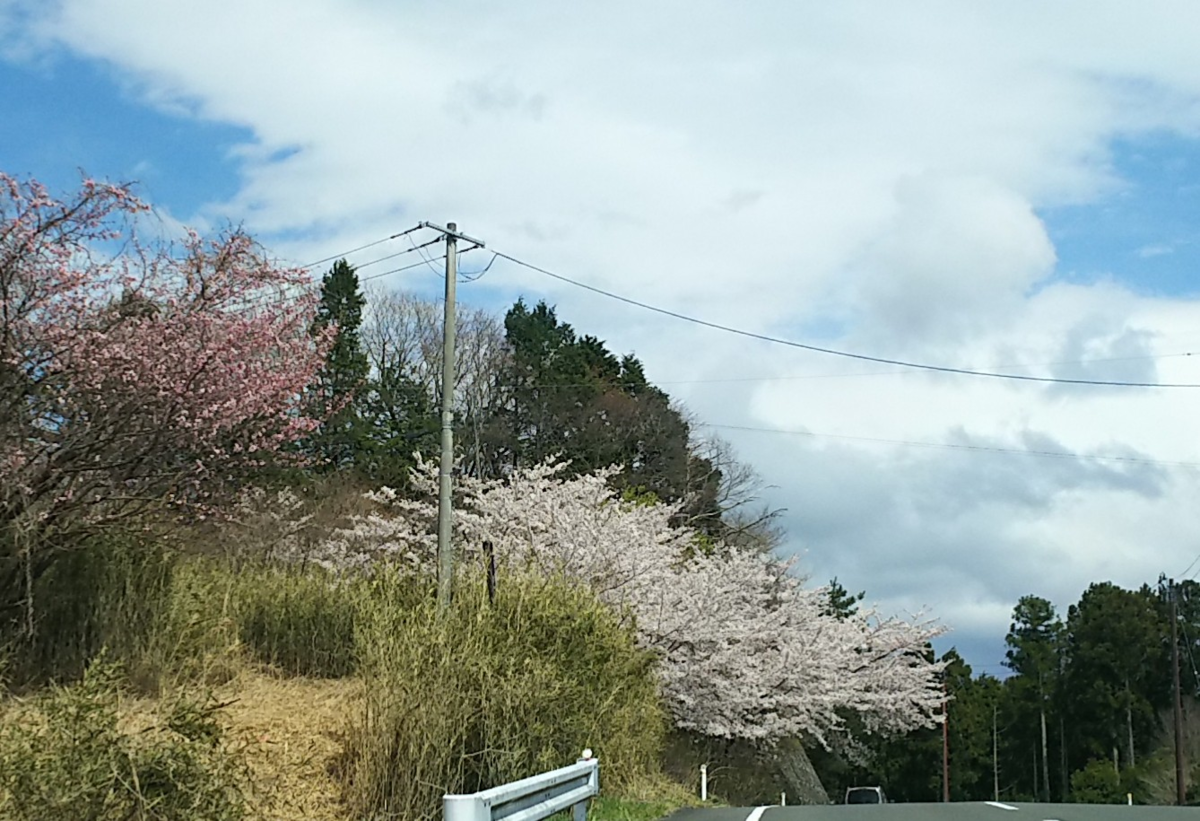 f:id:fp-maruko:20210409224140p:plain