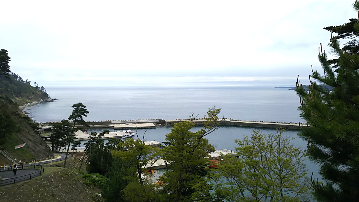 f:id:fp-maruko:20210524161624p:plain