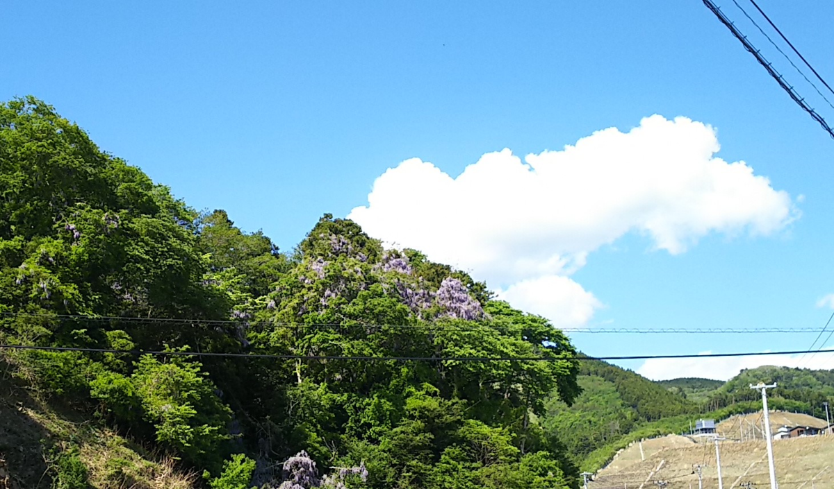 f:id:fp-maruko:20210516225921p:plain