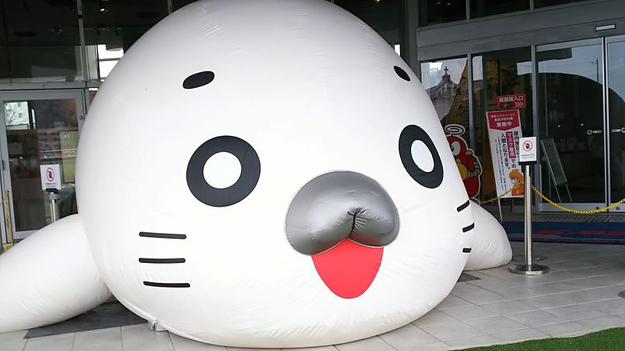 f:id:fp-maruko:20210325213701j:plain