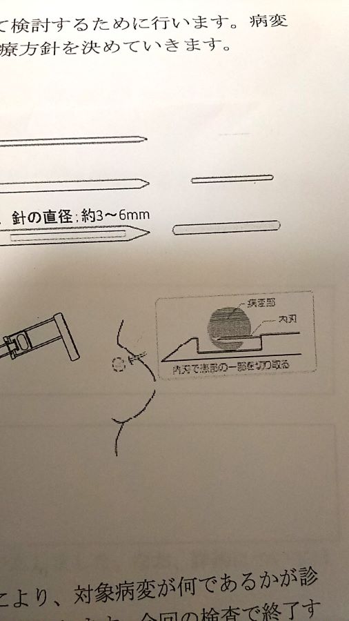 f:id:fp-maruko:20201223165344j:plain