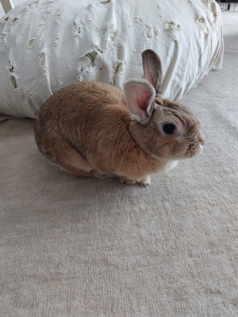 まる