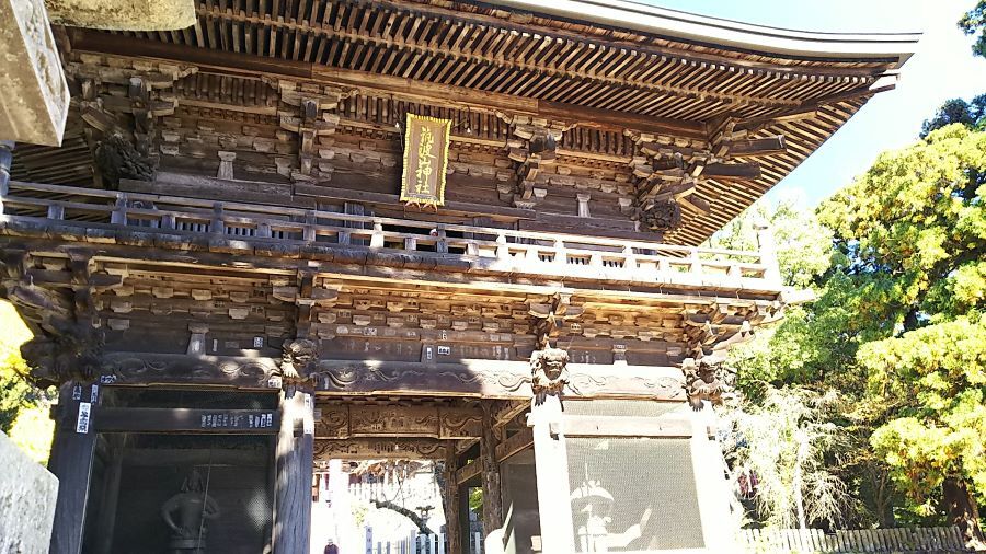 f:id:fp-maruko:20201112140132j:plain