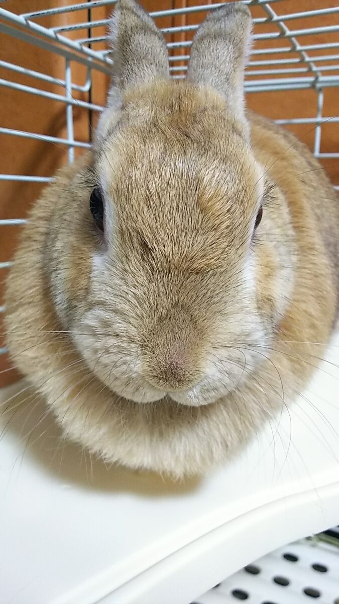 f:id:fp-maruko:20201107222100j:plain