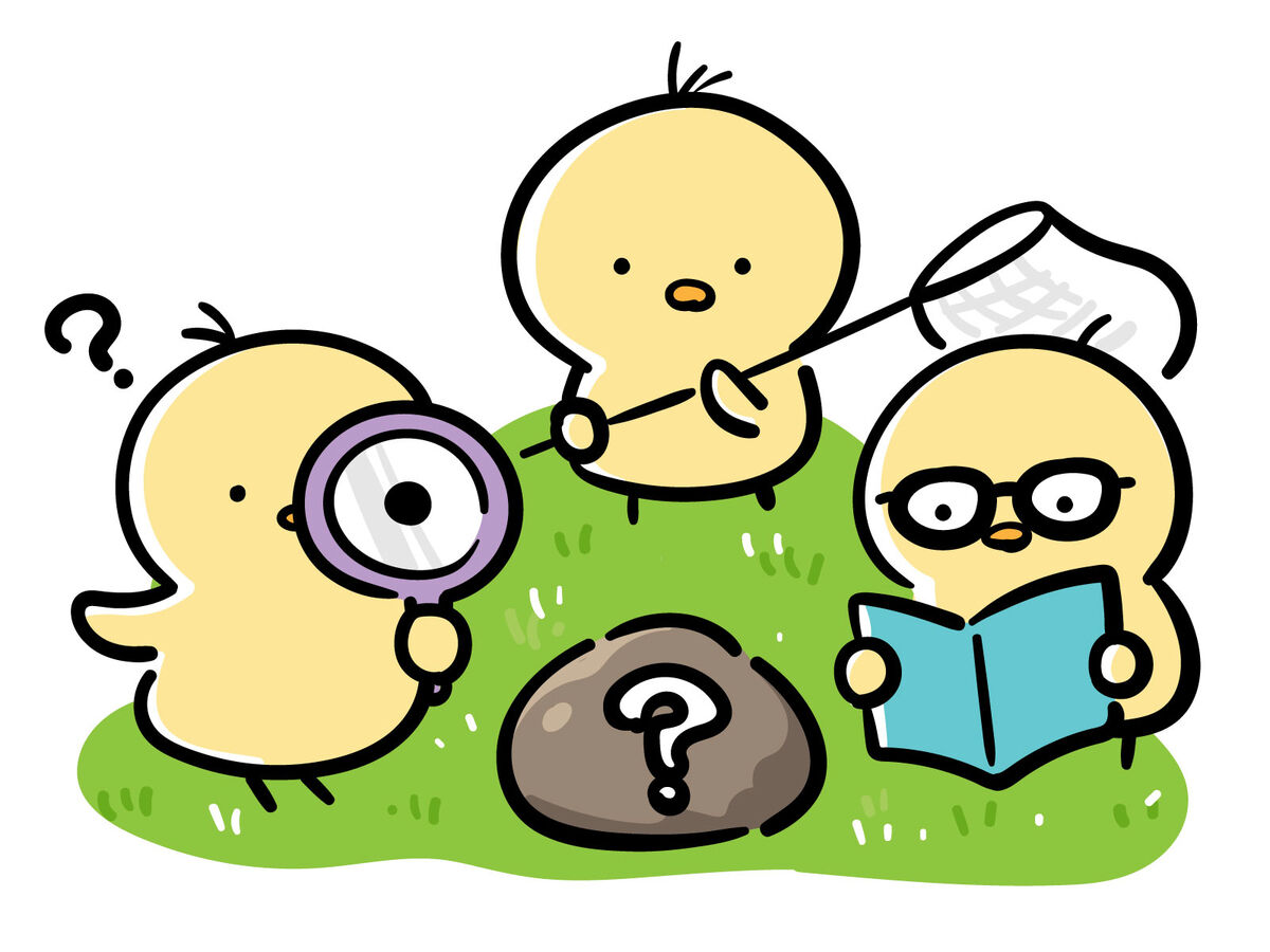 f:id:fp-maruko:20210816155848j:plain