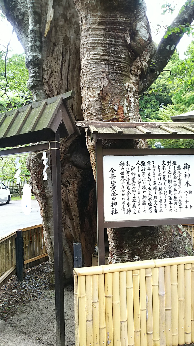 f:id:fp-maruko:20210524174123p:plain