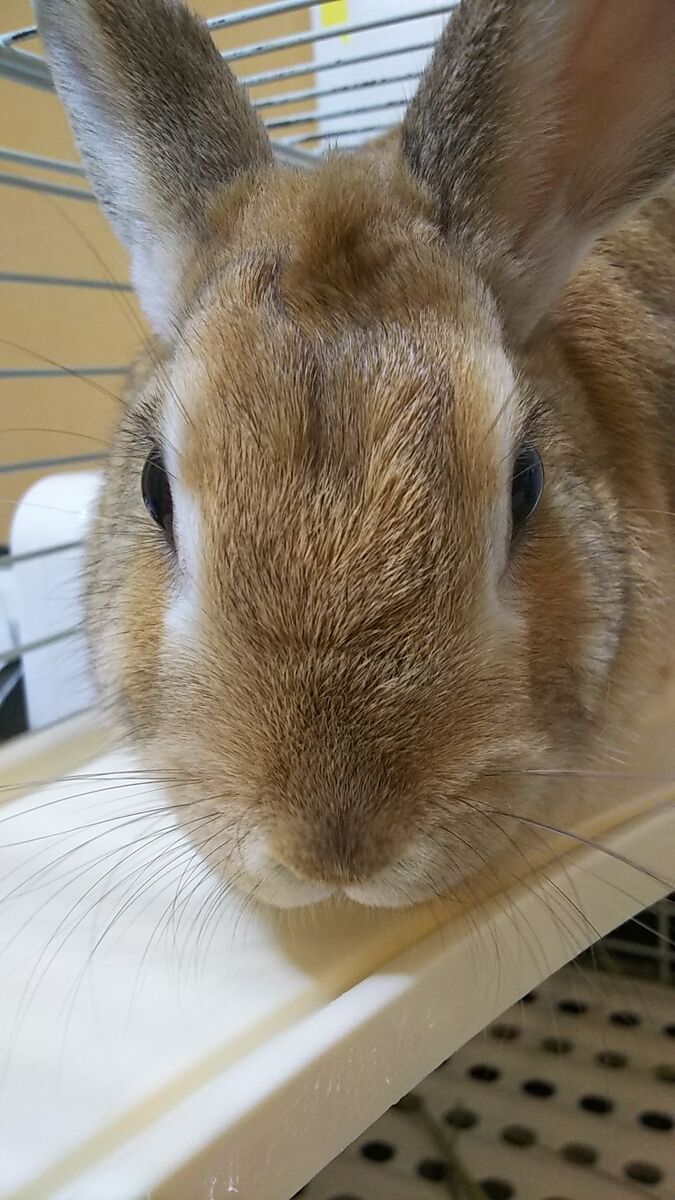 f:id:fp-maruko:20210930134041j:plain