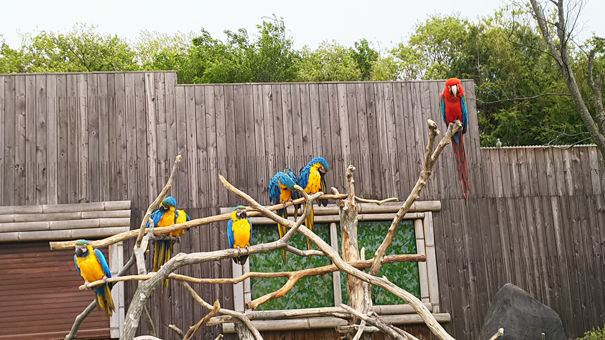 f:id:fp-maruko:20210510203809p:plain