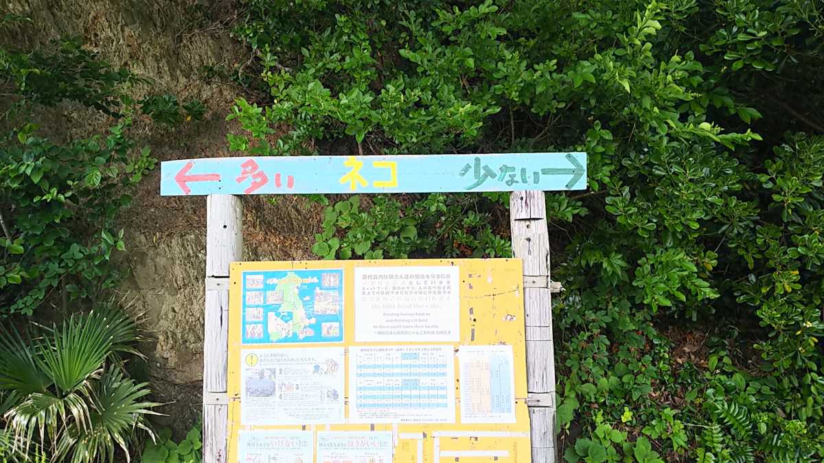 f:id:fp-maruko:20210619175627p:plain