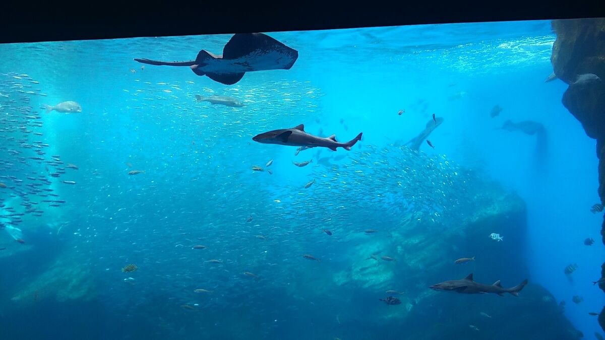 f:id:fp-maruko:20210722221030j:plain