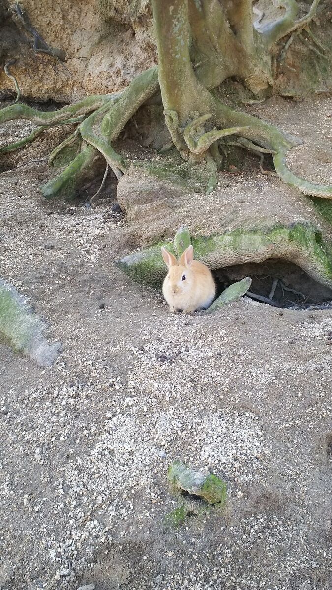 f:id:fp-maruko:20200908150100j:plain