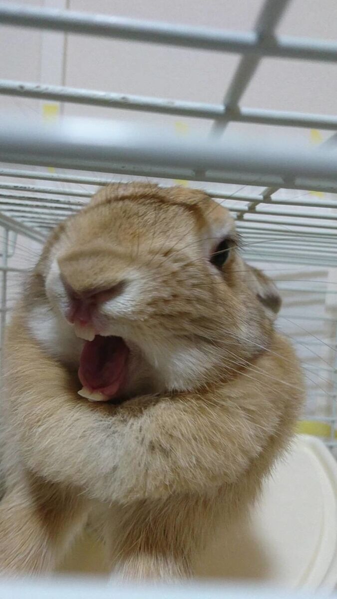 f:id:fp-maruko:20210930132844j:plain