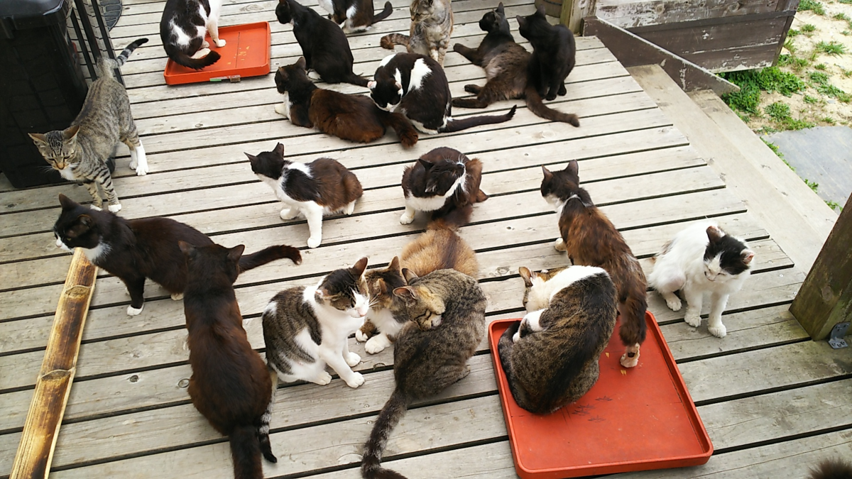 f:id:fp-maruko:20210619172520p:plain