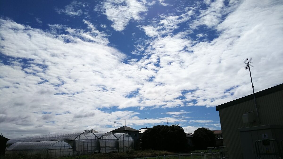 f:id:fp-maruko:20201016145949j:plain