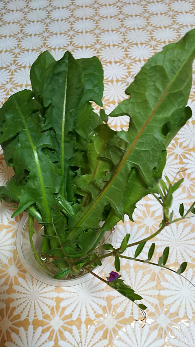 f:id:fp-maruko:20210413214954p:plain