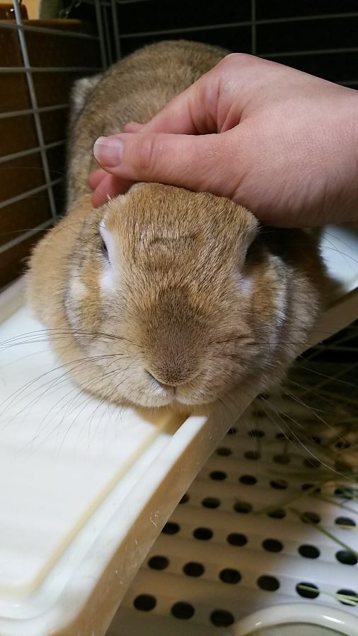 f:id:fp-maruko:20210224174843j:plain