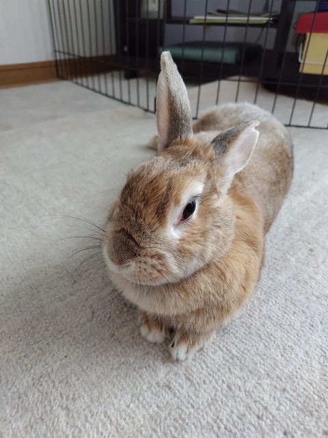 いつもの休憩2.2