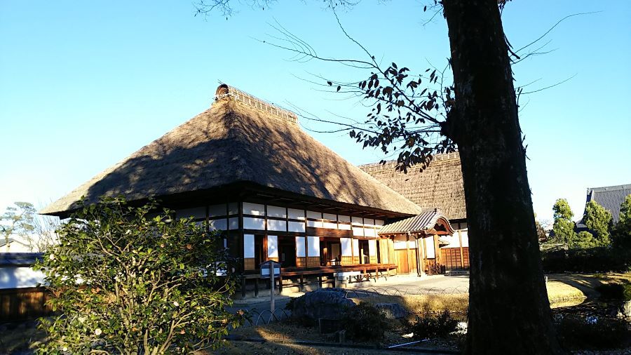 f:id:fp-maruko:20201218221351j:plain