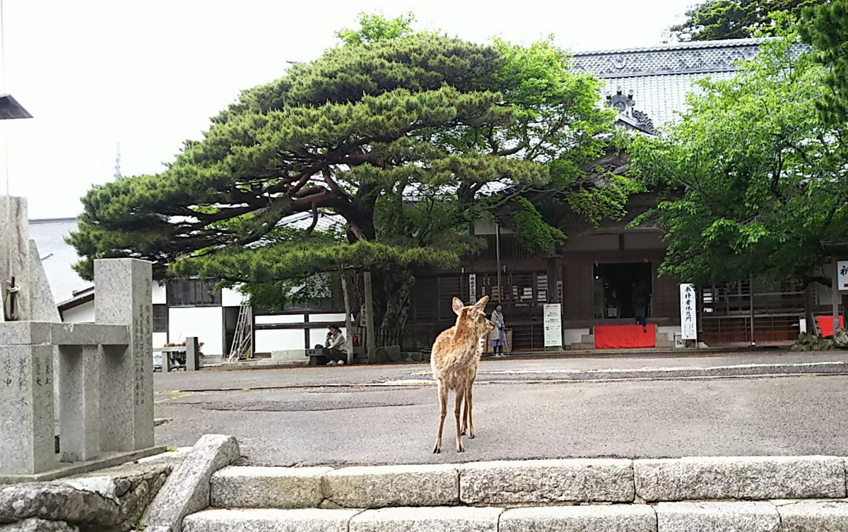 f:id:fp-maruko:20210524153622p:plain