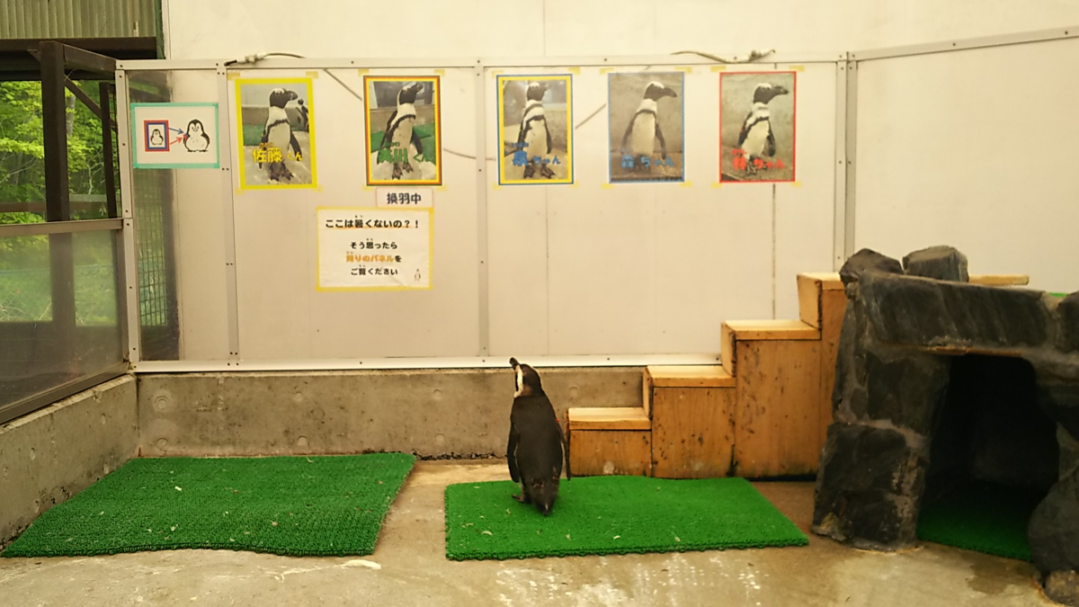 f:id:fp-maruko:20210510203442p:plain