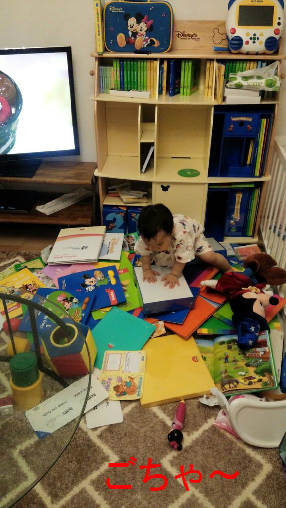 教材 投げ散らかし期間 まるーく かるーく Dwe