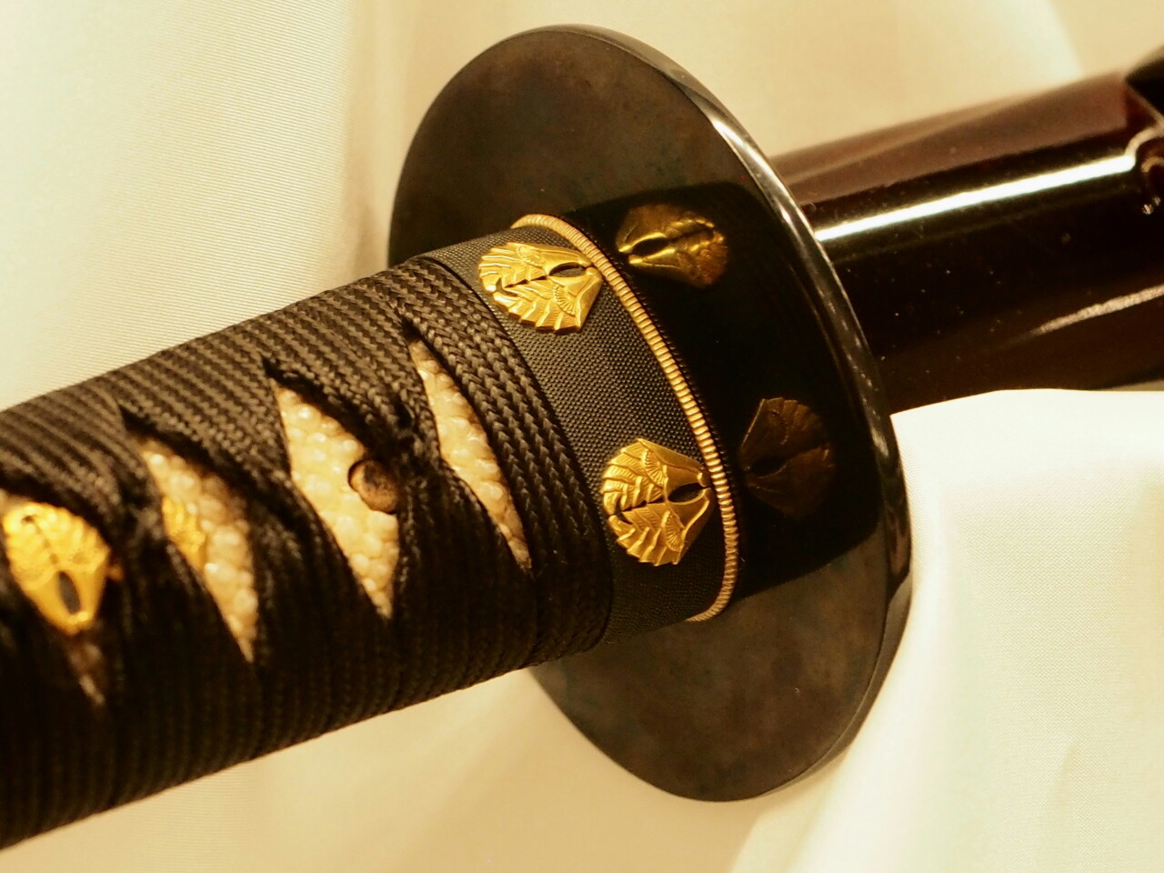 A1zfZyXZEHL._AC_UF350,