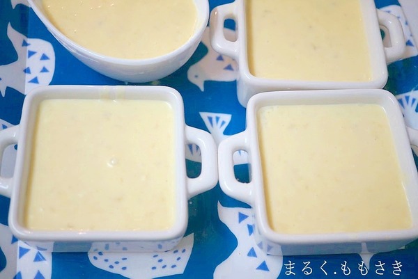 bcDSC09647a
