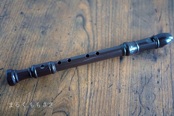 buDSC04946m